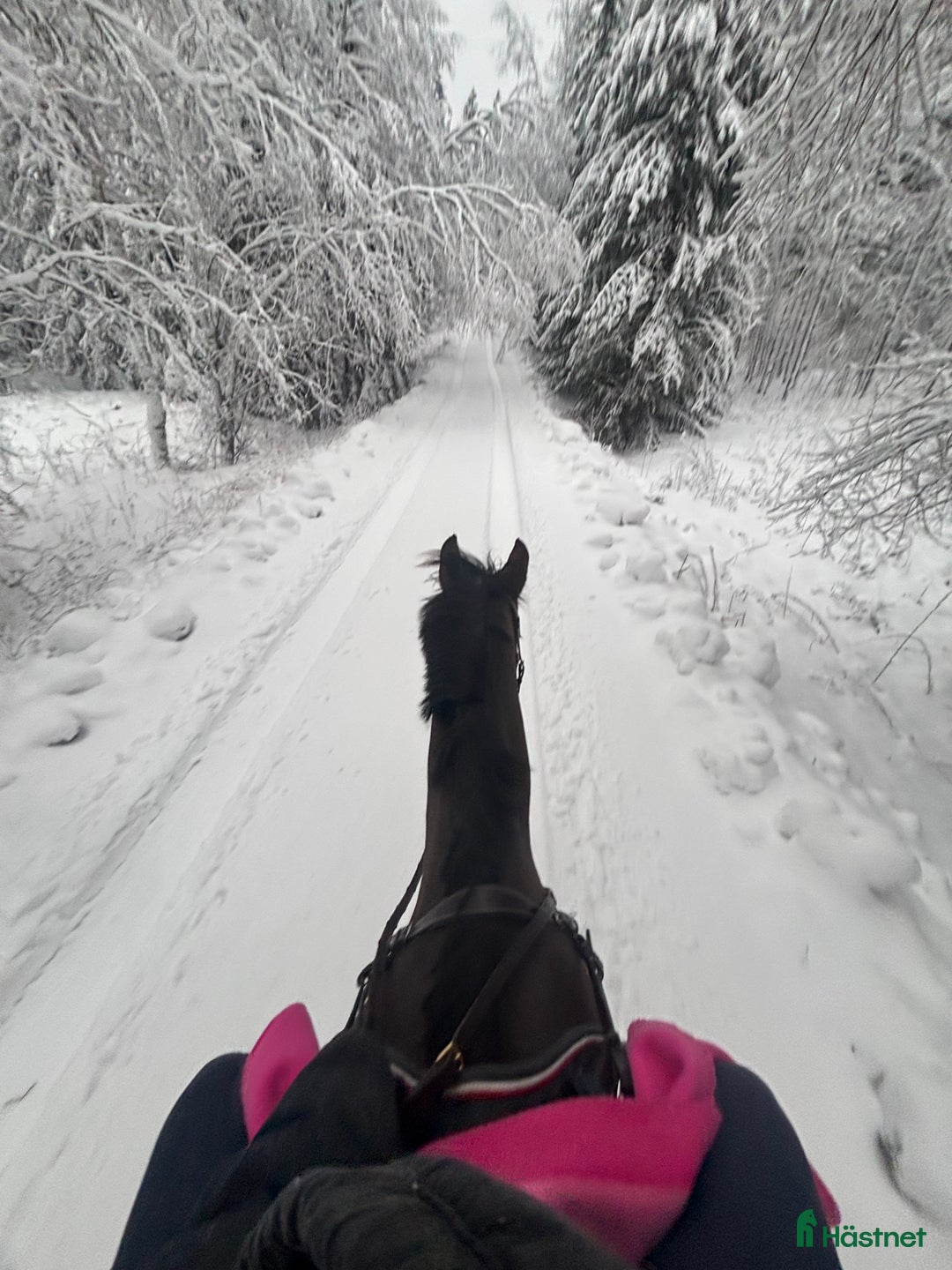 Galleribild {{count}}