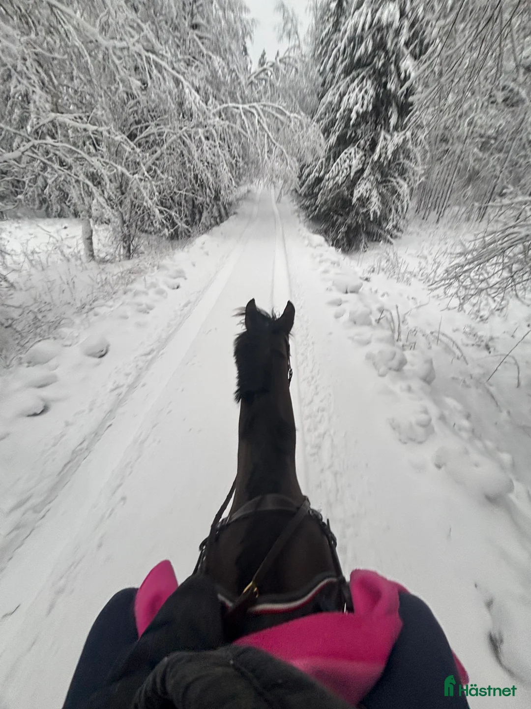 Galleribild {{count}}