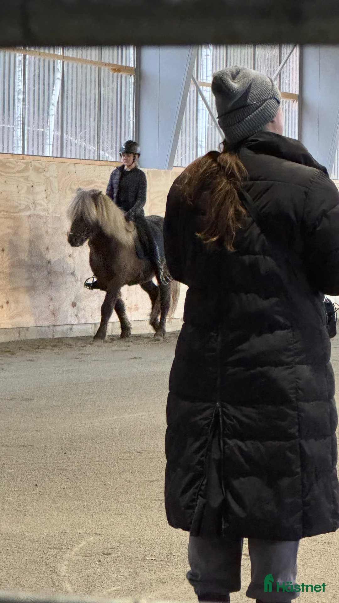  hästservice finnes: Ridläger i vackra Bergslagen! i Riddarhyttan - Annons 13