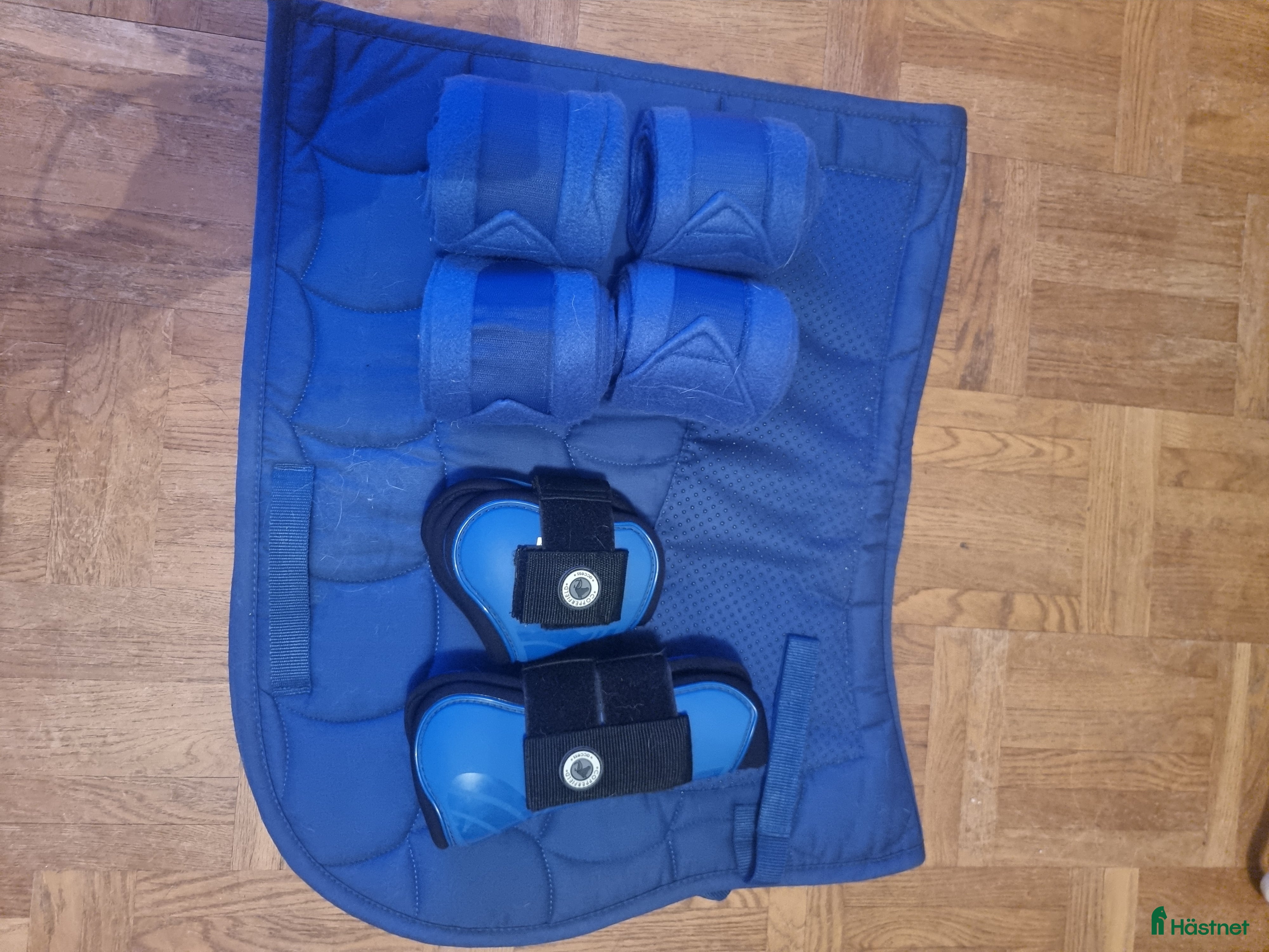 Schabrak & Vojlockar hästutrustning till salu: Schabrak full  i Nybro - Annons 19