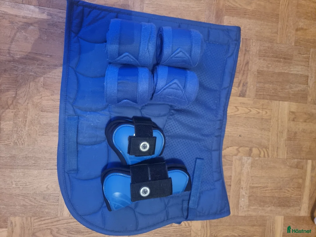 Schabrak & Vojlockar hästutrustning till salu: Schabrak full  i Nybro - Annons 1