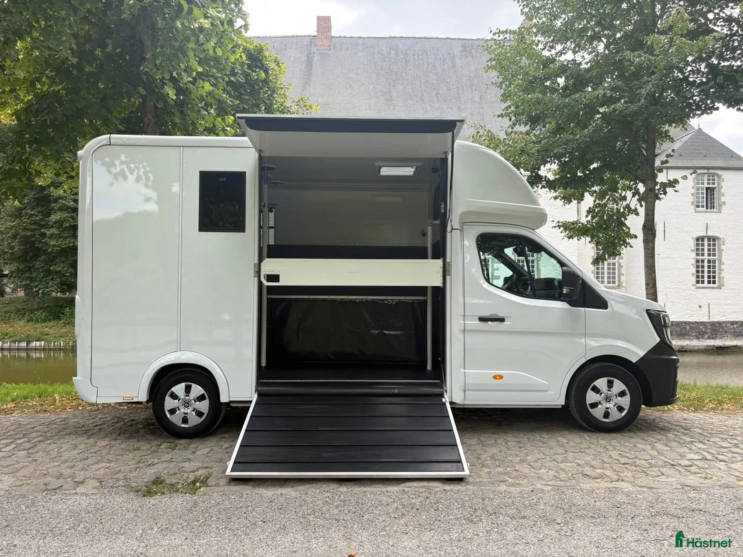 Hästlastbilar  fordon & transport till salu: Lehel 2 hästars classic  i Teckomatorp - Annons 4