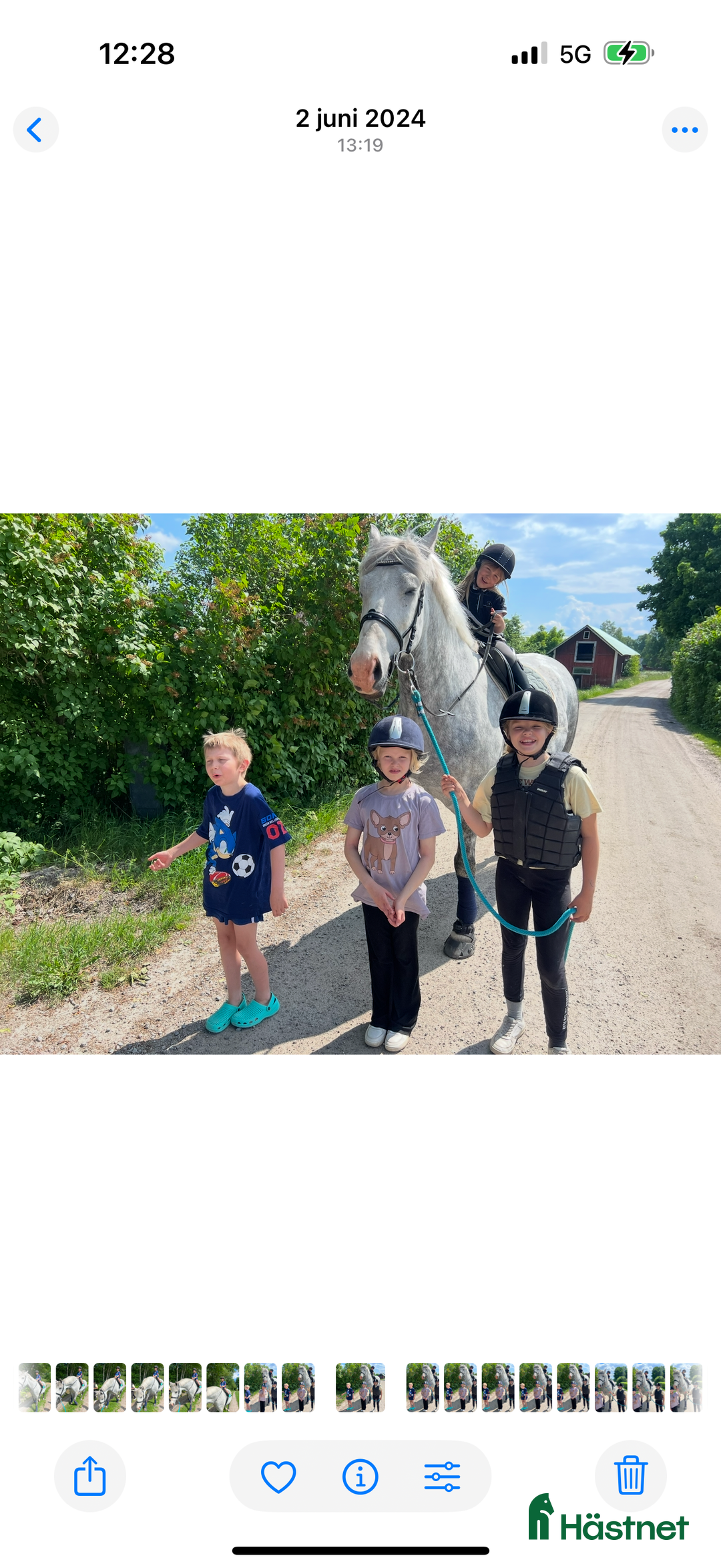 Allround hästar till salu: Häftig häst med hjärtat på rätt ställe i Kumla - Annons 5