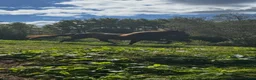 Island hästar till salu: Vackert sto i Ryssby - Annons 1