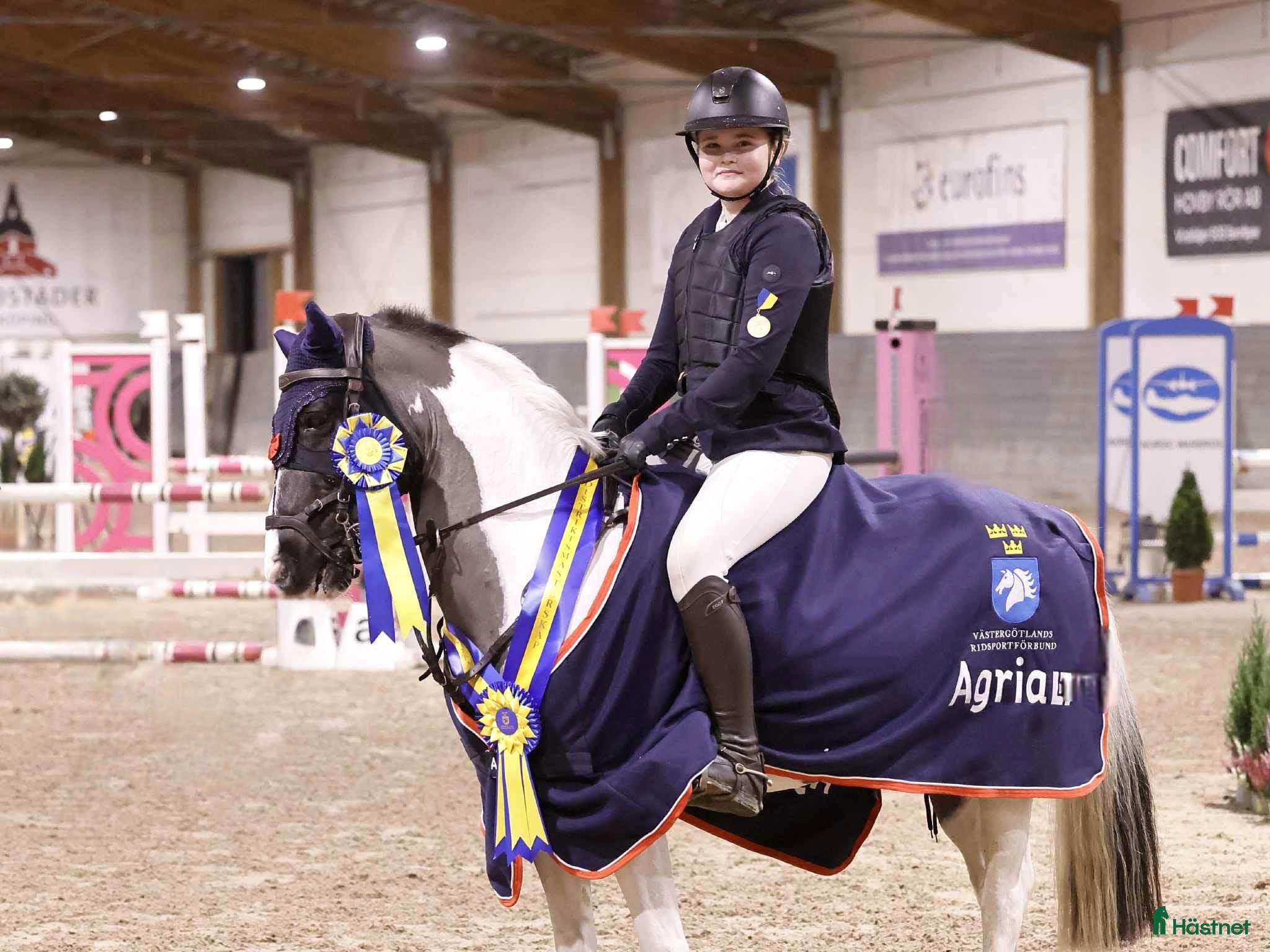  hästar ❤️Skye❤️ - Annons 16