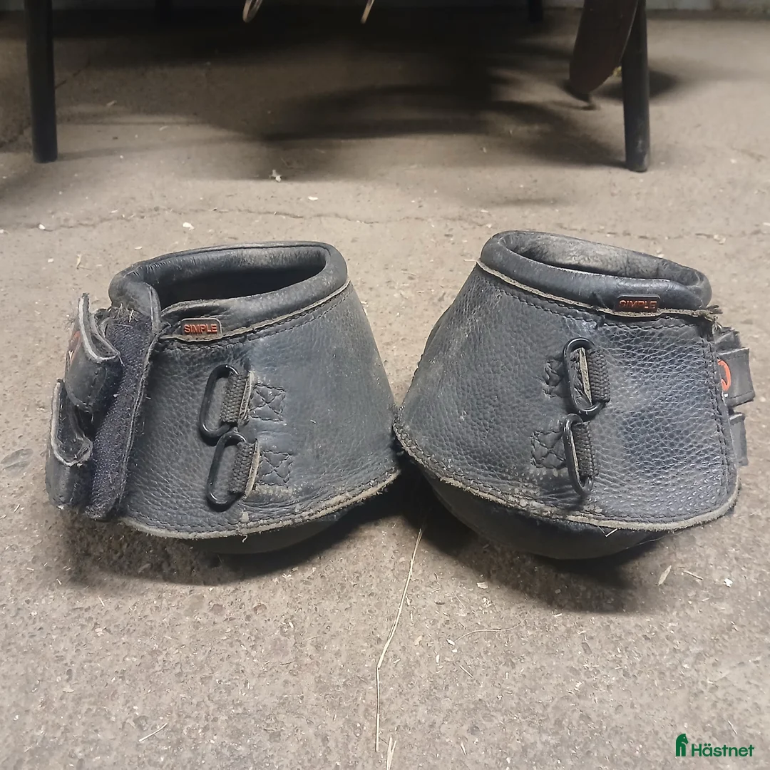 Övrig Hästutrustning hästutrustning till salu: Häst boots i Norrtälje - Annons 1