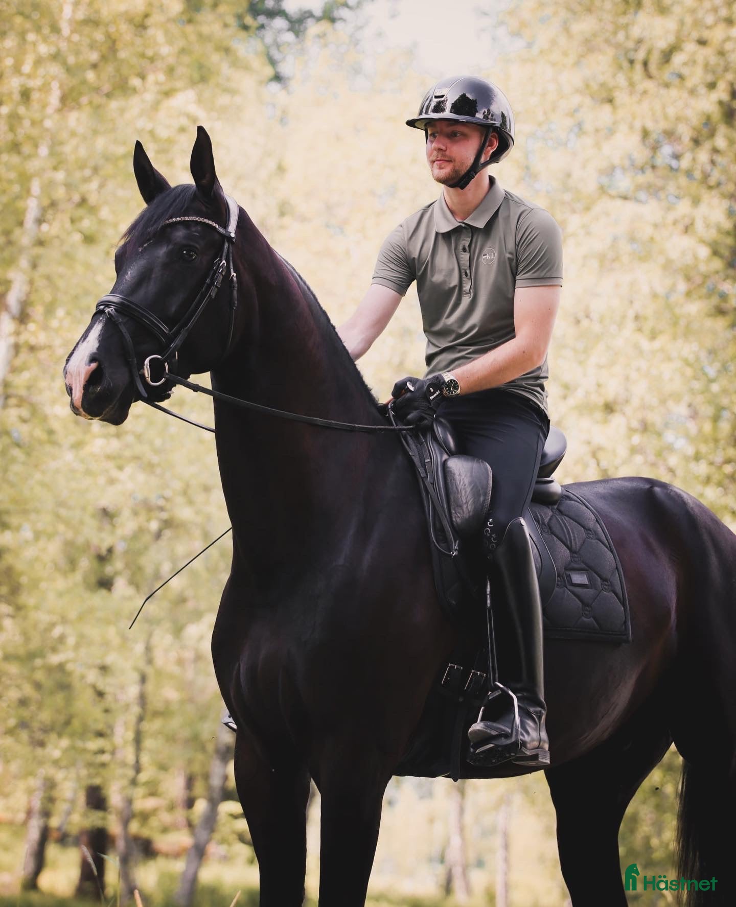  hästar Talangfull häst som passar alla!  - Annons 2