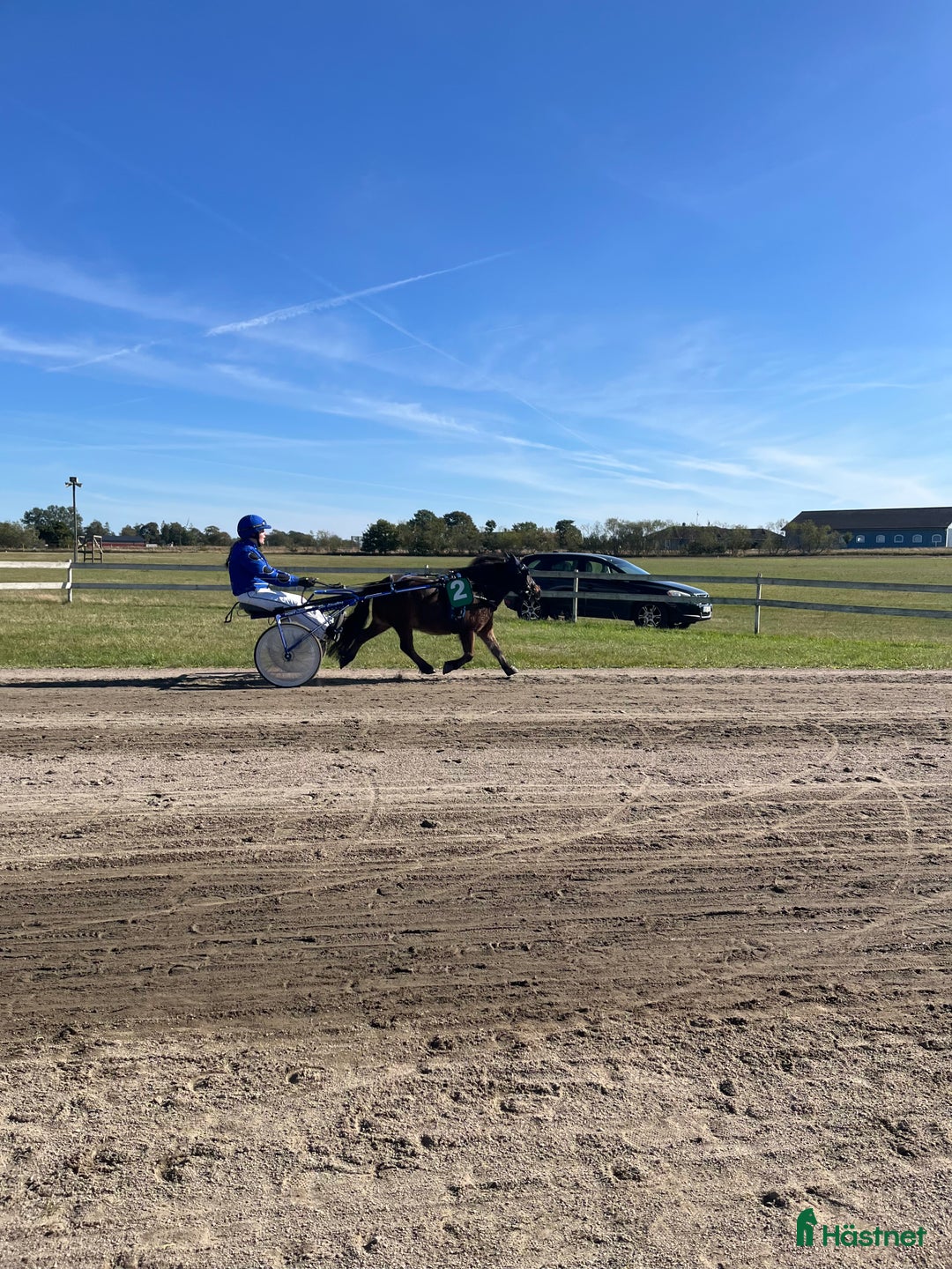 Trav hästar till salu: Travponny med stora utvecklingsmöjligheter  i Asarum - Annons 2