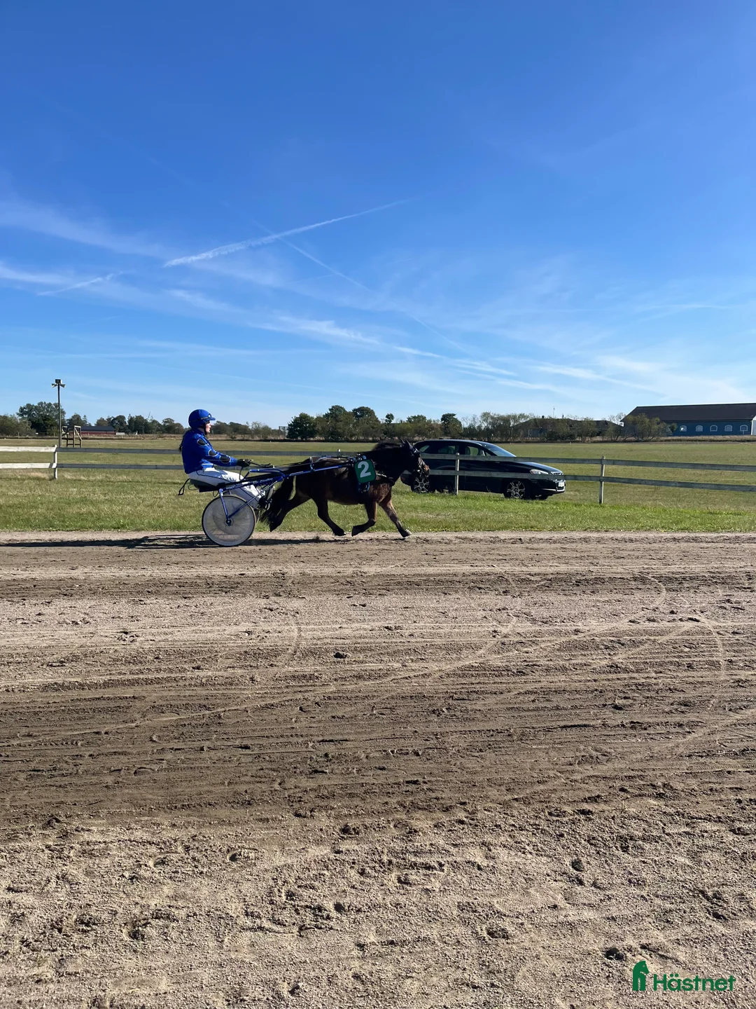 Trav hästar till salu: Travponny med stora utvecklingsmöjligheter  i Asarum - Annons 2
