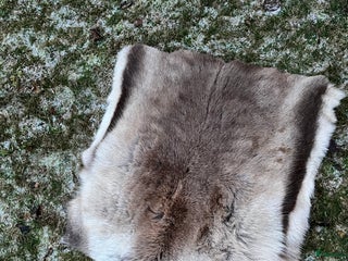 Schabrak & Vojlockar hästutrustning till salu: Renskinn sadelunderlägg i Västra Ämtervik - Annons 4