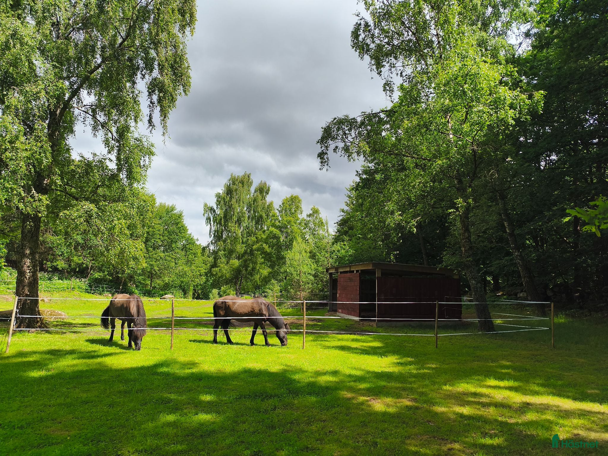  stallplats Lösdrift finnes - Annons 5