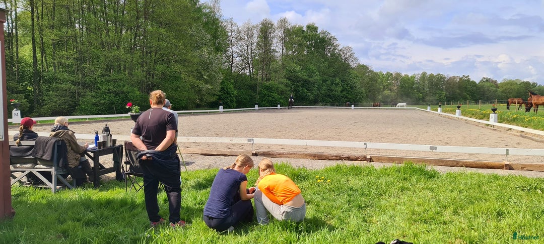  hästgårdar till salu: Hästgård avvecklas. Allt säljes förmånligt. i Grödinge - Annons 3