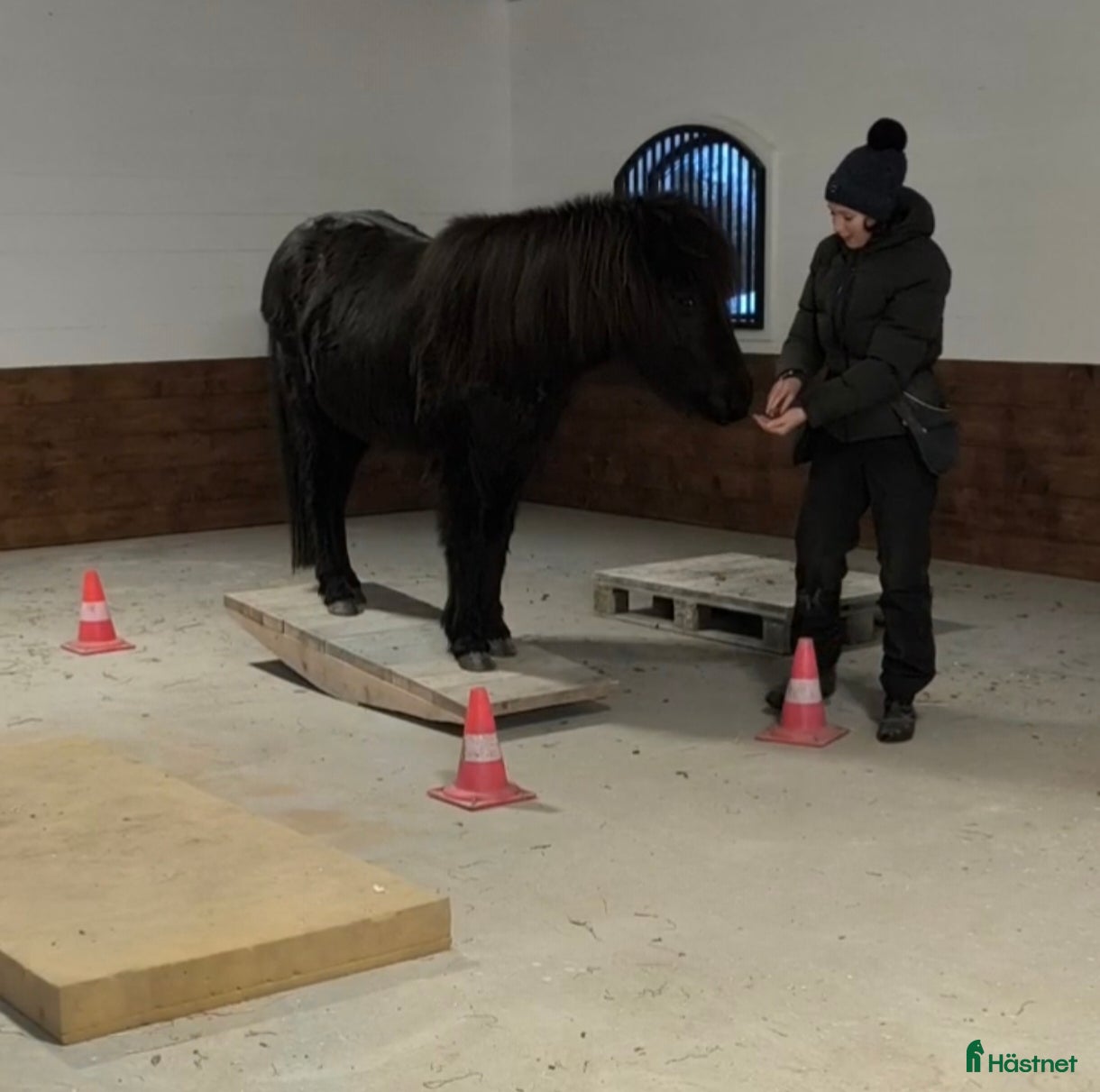  hästservice finnes: Equiterapeut  - Annons 1