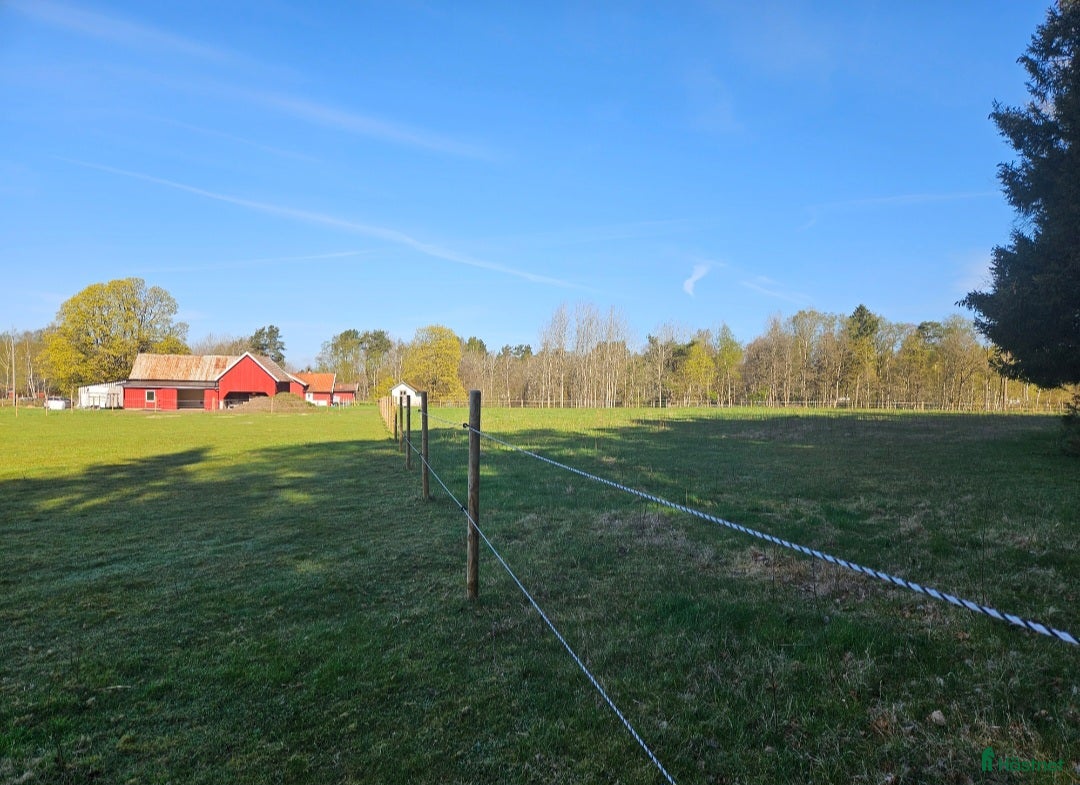  stallplats finnes: Lösdrift i Örby, Marks kommun i Örby - Bild 4