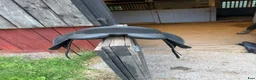 Sadlar hästutrustning till salu: Wintec wide 17” - Annons 3