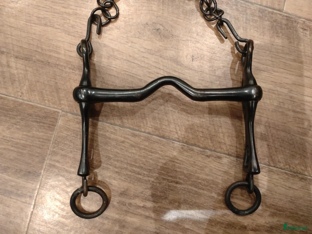 Bett hästutrustning till salu: Portugisisk stång 14,5 cm i Klippan - Annons 1