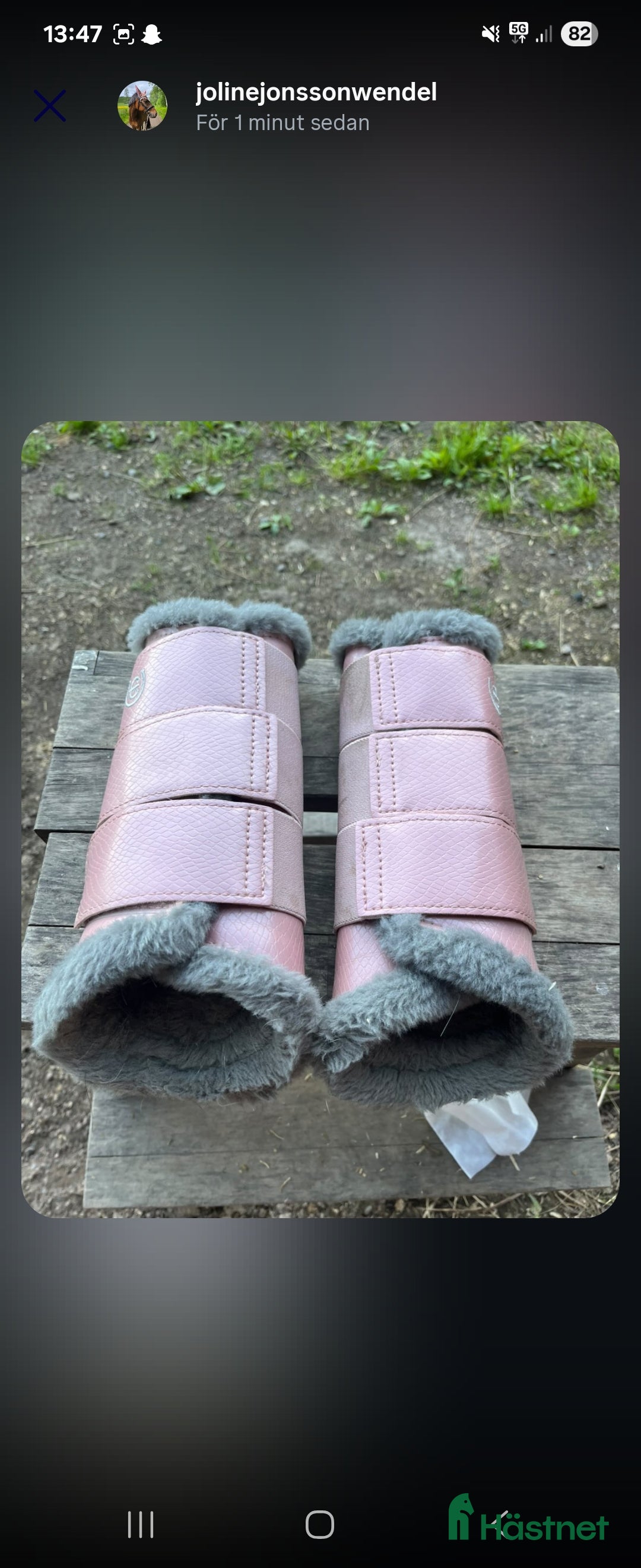 Benskydd hästutrustning till salu: Set från ES (equestrian stockholm) i Sunne - Annons 5