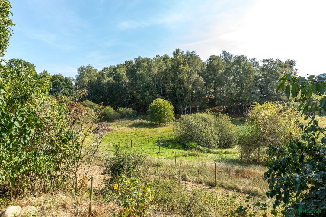  stallplats finnes: Lösdriftsplats Hässleberga i Genarp - Annons 1