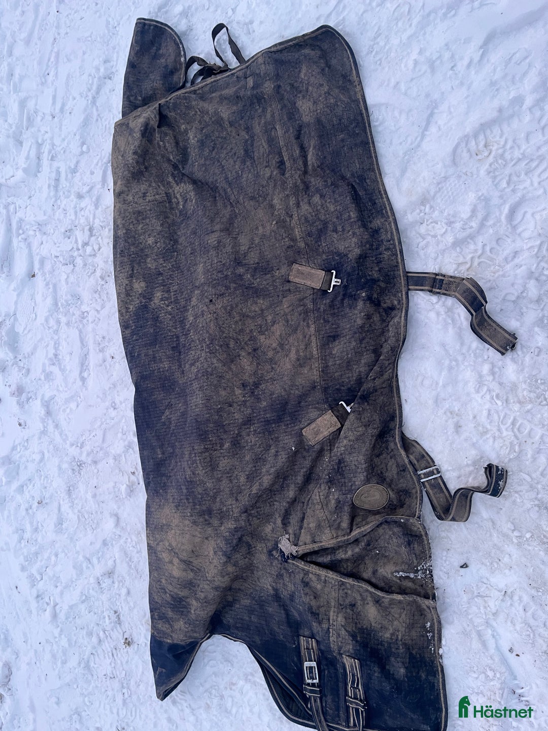 Täcken hästutrustning till salu: Täcken  i Södertälje - Annons 2