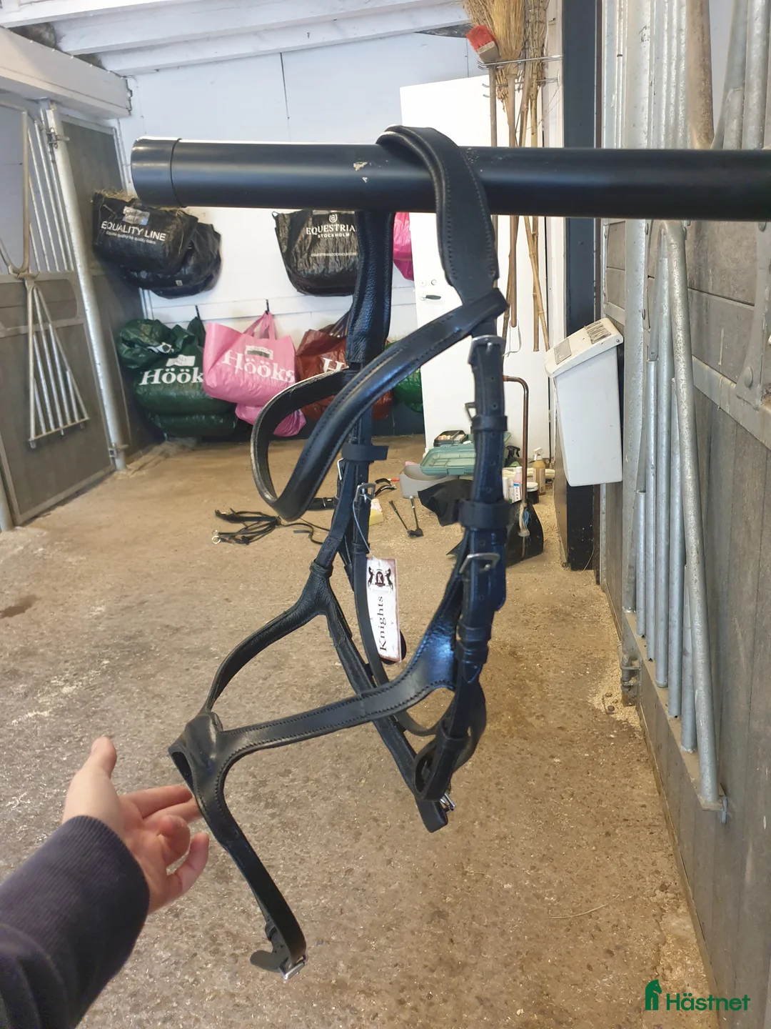 Träns hästutrustning till salu: Nytt Knights Träns! - Annons 2