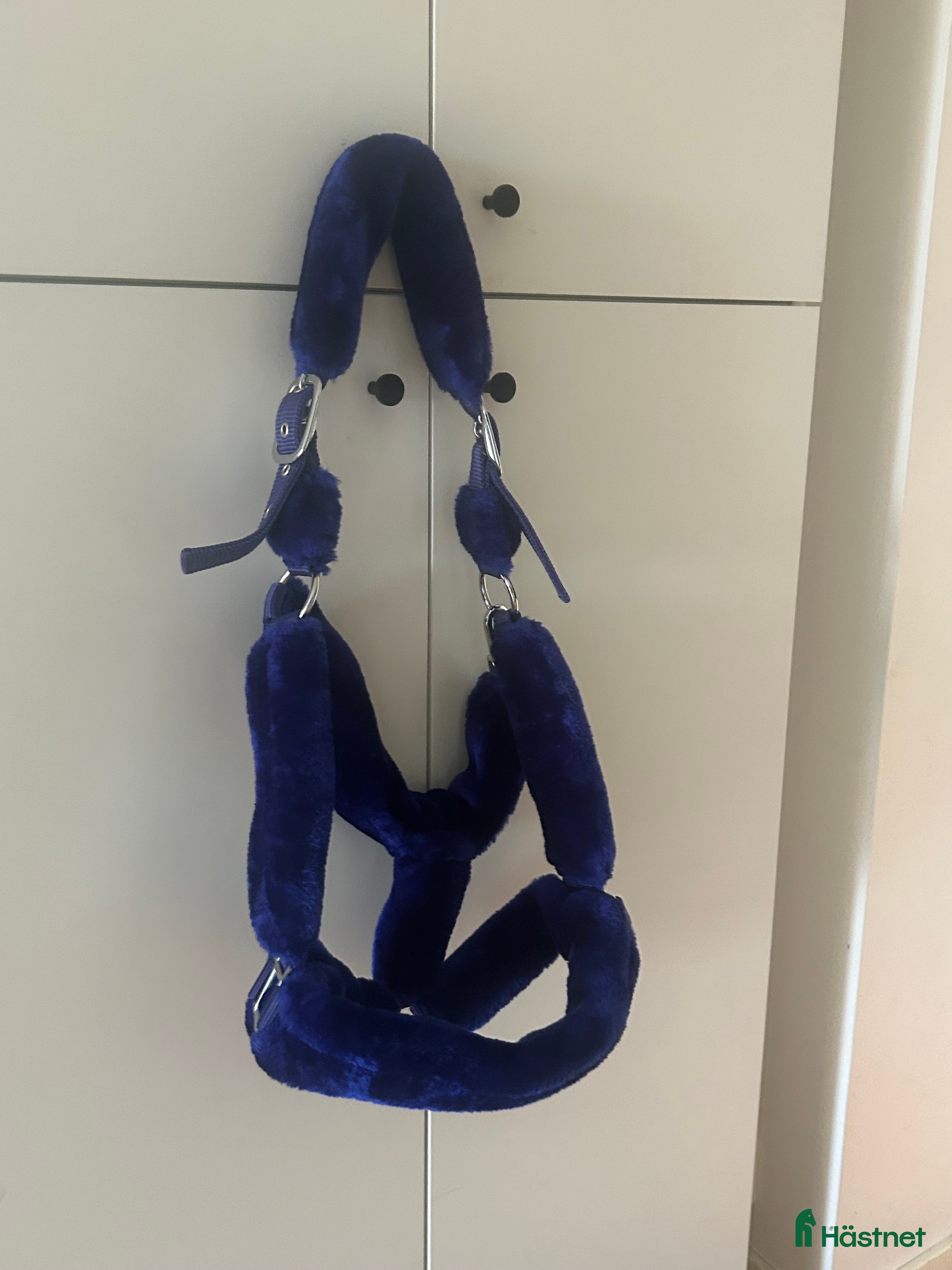 Övrig Hästutrustning hästutrustning till salu: Navy blue grimma  i Svartsjö - Annons 3