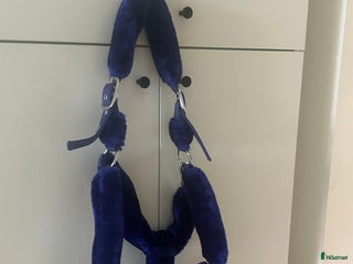 Övrig Hästutrustning hästutrustning till salu: Navy blue grimma i Svartsjö - Annons 12