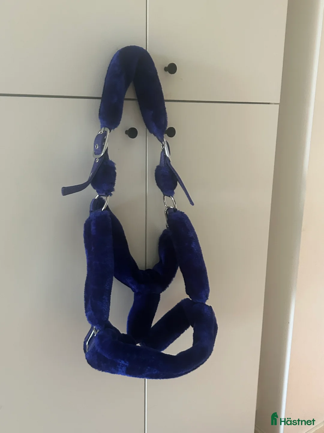 Övrig Hästutrustning hästutrustning till salu: Navy blue grimma  i Svartsjö - Annons 1