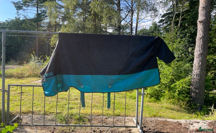 Täcken hästutrustning till salu i Fjärås - Annons 17