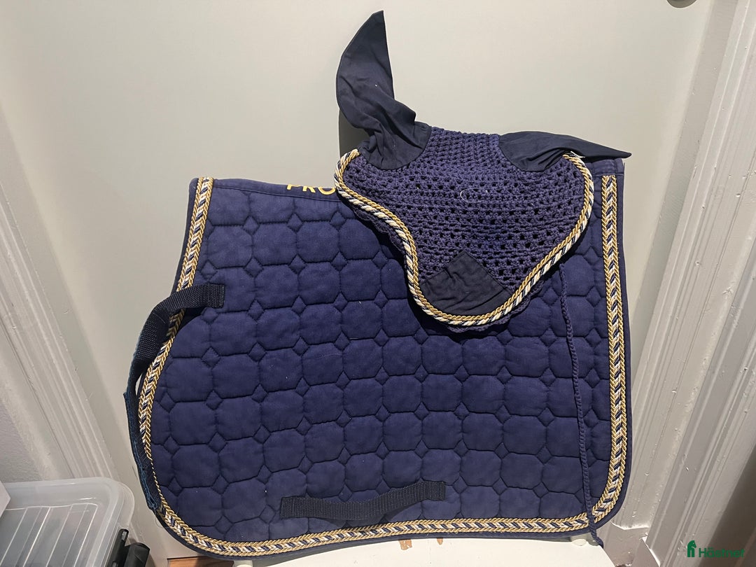 Schabrak & Vojlockar hästutrustning till salu: Blått hopp set i Åre - Annons 1