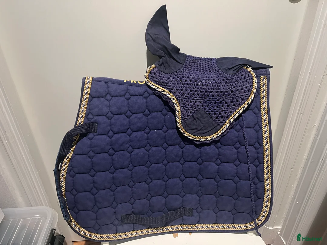 Schabrak & Vojlockar hästutrustning till salu: Blått hopp set i Åre - Annons 1