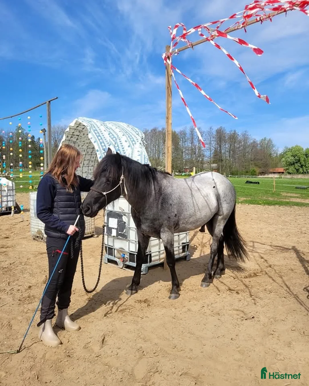 Galleribild {{count}}