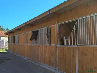 hästservice Rehabuppstallning/semesteruppstallning/inridning i Kristdala - Annons 4