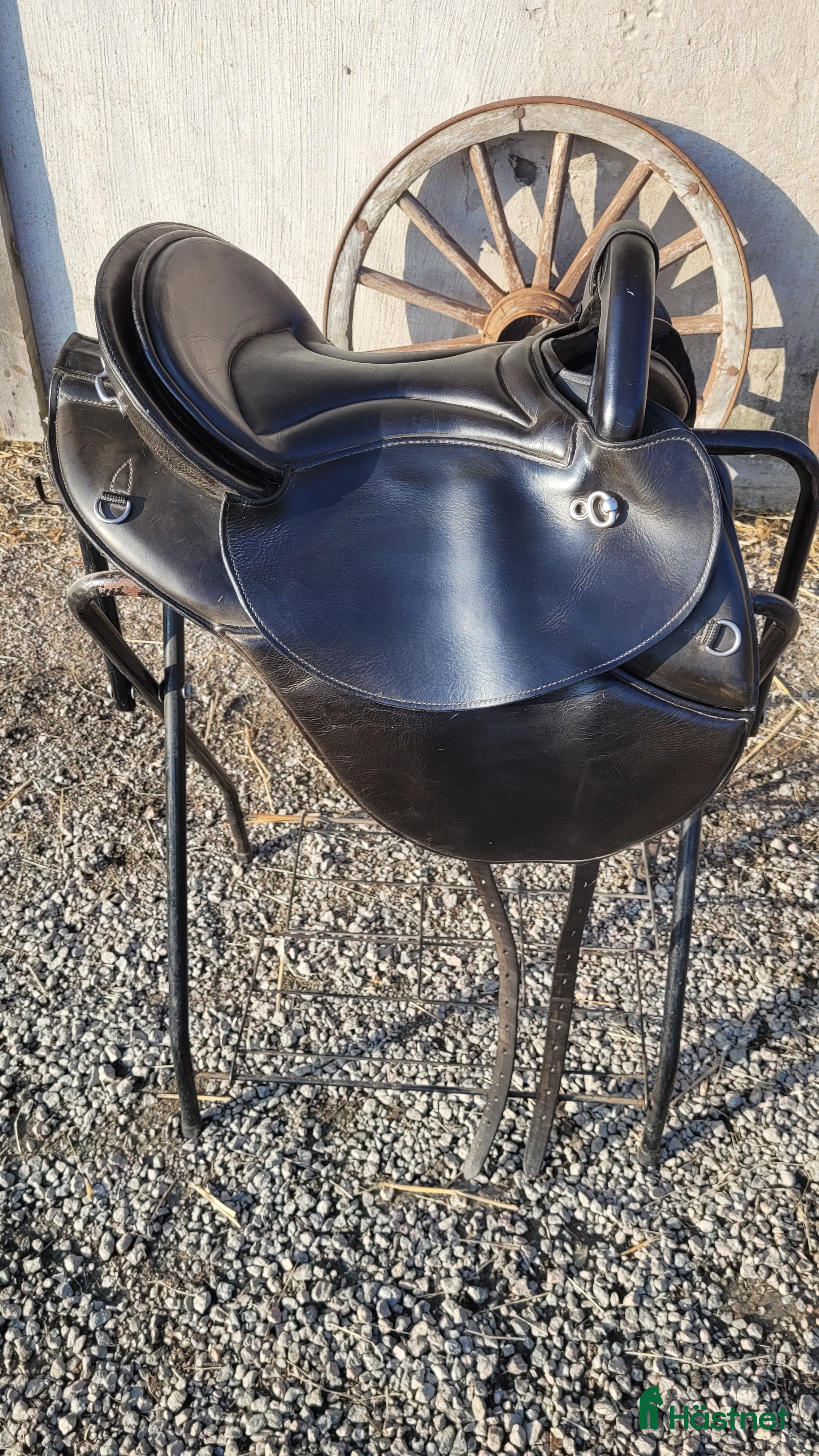 Sadlar hästutrustning Startrekk Comfort Shorty  - Annons 12