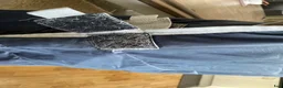 Täcken hästutrustning till salu: Horseware liner 100g - Annons 4