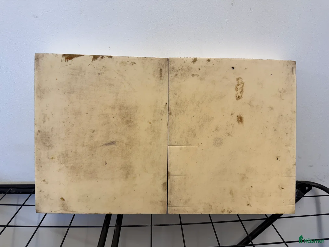 Övrig utrustning övrig utrustning till salu: Sure Foot Equine Hard Pads - balans paddar i Ängelholm - Annons 4