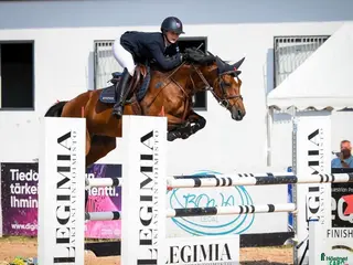 hästar Quality showjumper i Koski Tl - Annons 3