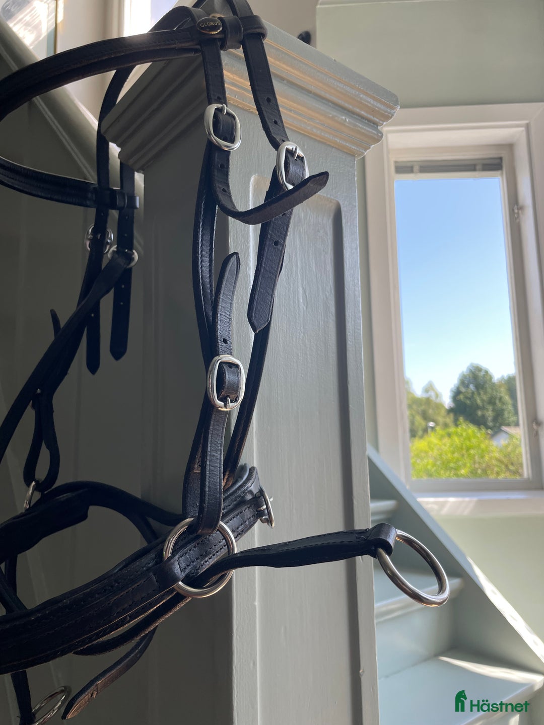 Övrig Hästutrustning hästutrustning till salu: Lägg bud  - Annons 4