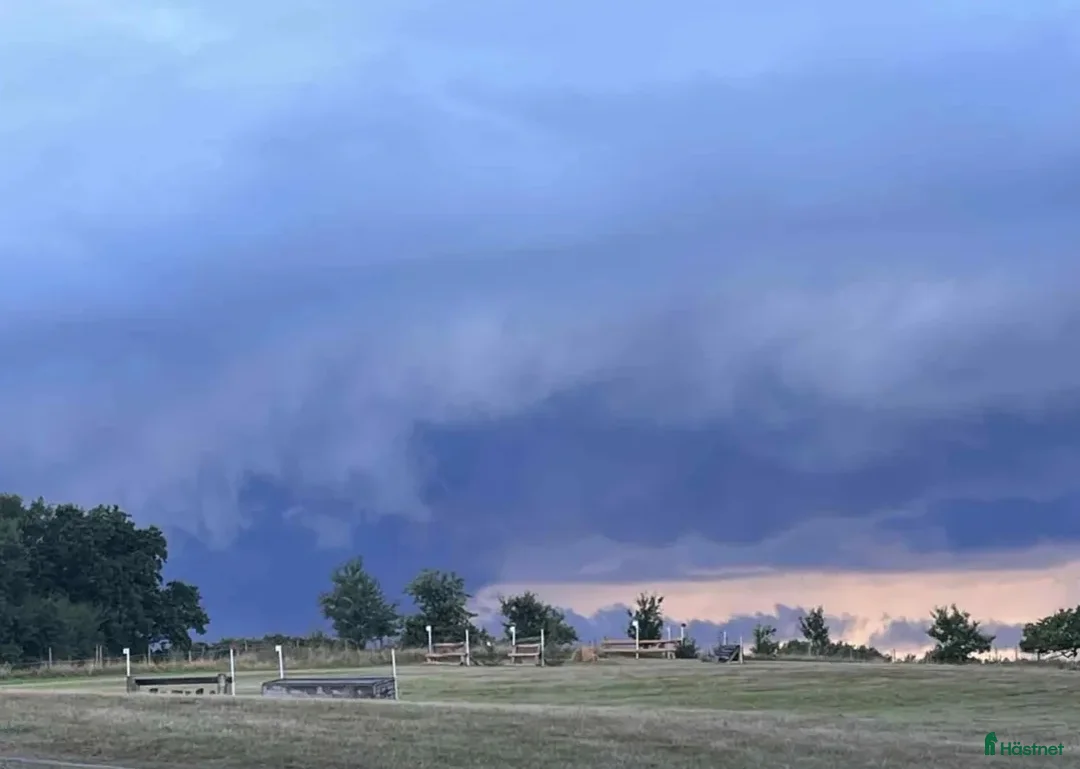  stallplats finnes: Stallplats Össjögård  i Munka-ljungby - Annons 3
