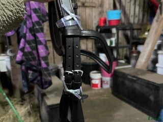 Träns hästutrustning till salu: Nytt anatomiskt träns i Göteborg - Annons 1