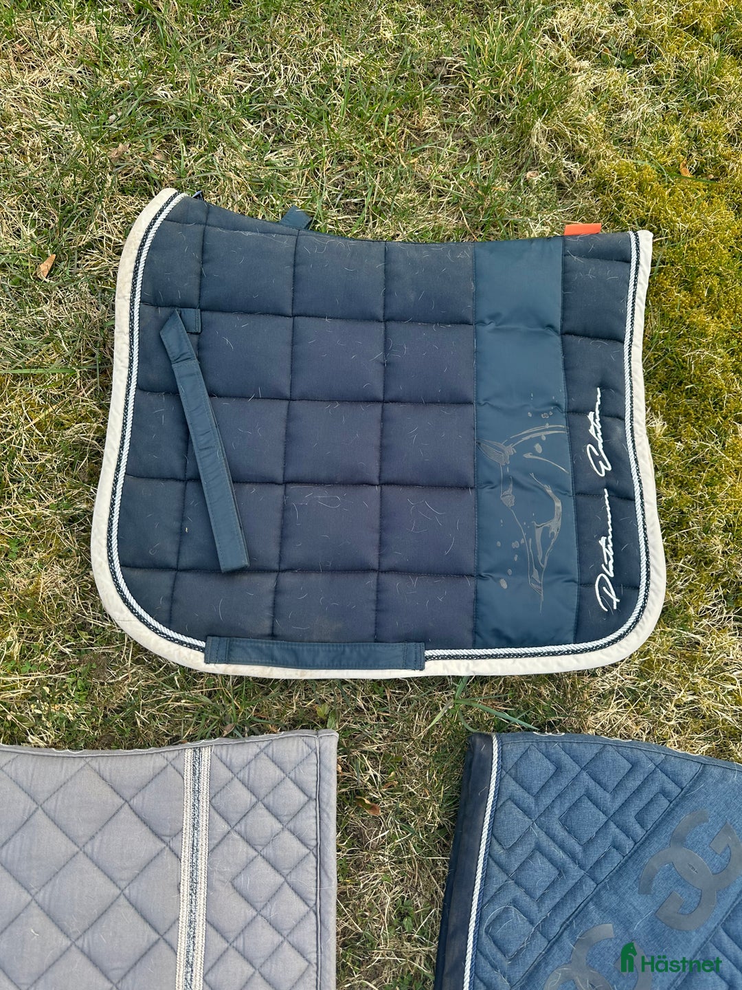 Schabrak & Vojlockar hästutrustning till salu: Ponny Dressyrschabrak i Kinna - Annons 2