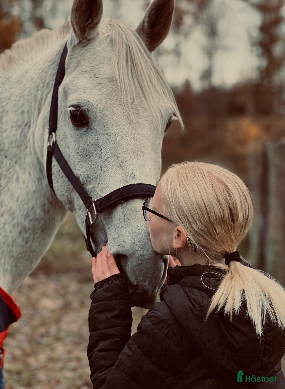  hästar Vacker D ponny - Annons 9