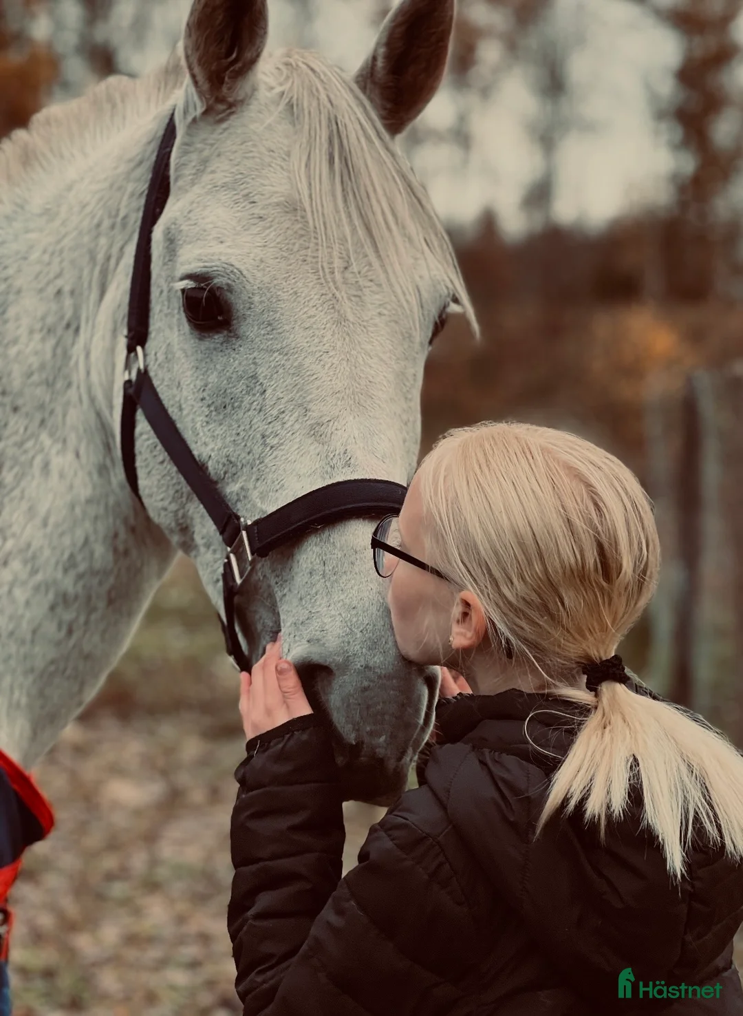 Allround hästar till salu: Vacker D ponny - Annons 1