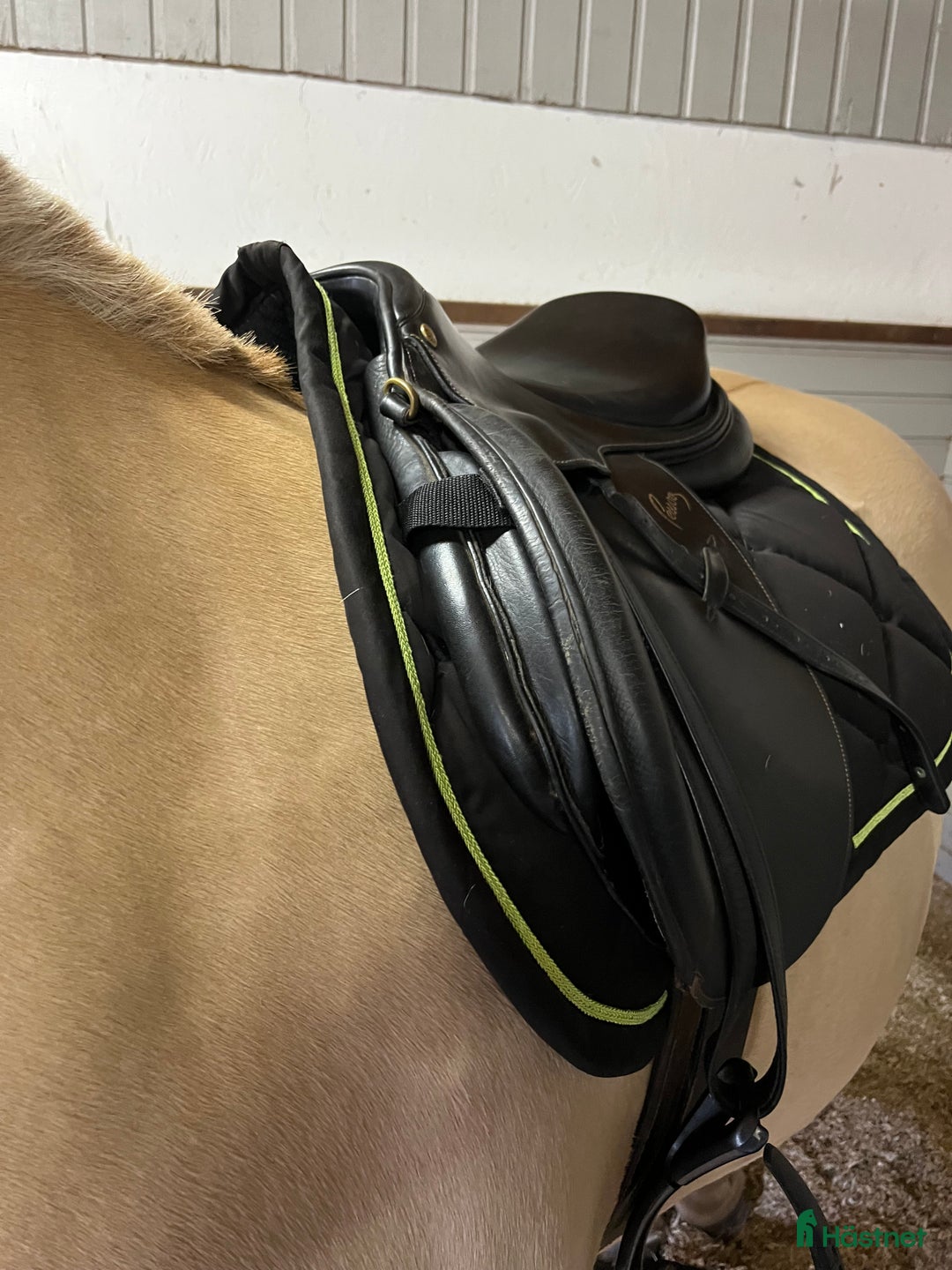 Sadlar hästutrustning till salu: Pessoa Amo 17” MW i Kåge - Annons 2