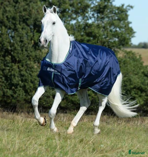 Täcken hästutrustning till salu: Bucas Smartex Rain 155 cm i Borlänge - Annons 3