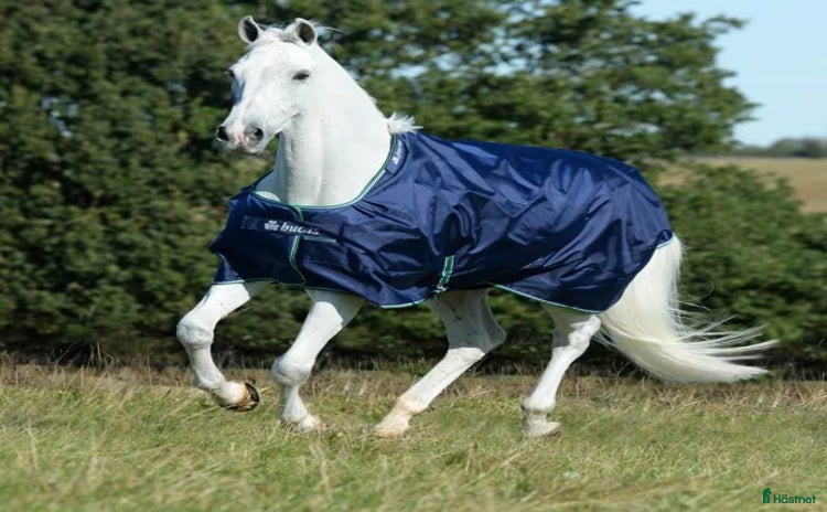 Täcken hästutrustning till salu: Bucas Smartex Rain 155 cm i Borlänge - Annons 1