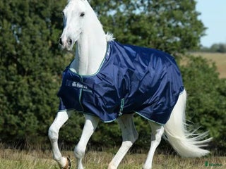 Täcken hästutrustning till salu: Bucas Smartex Rain 155 cm i Borlänge - Annons 2