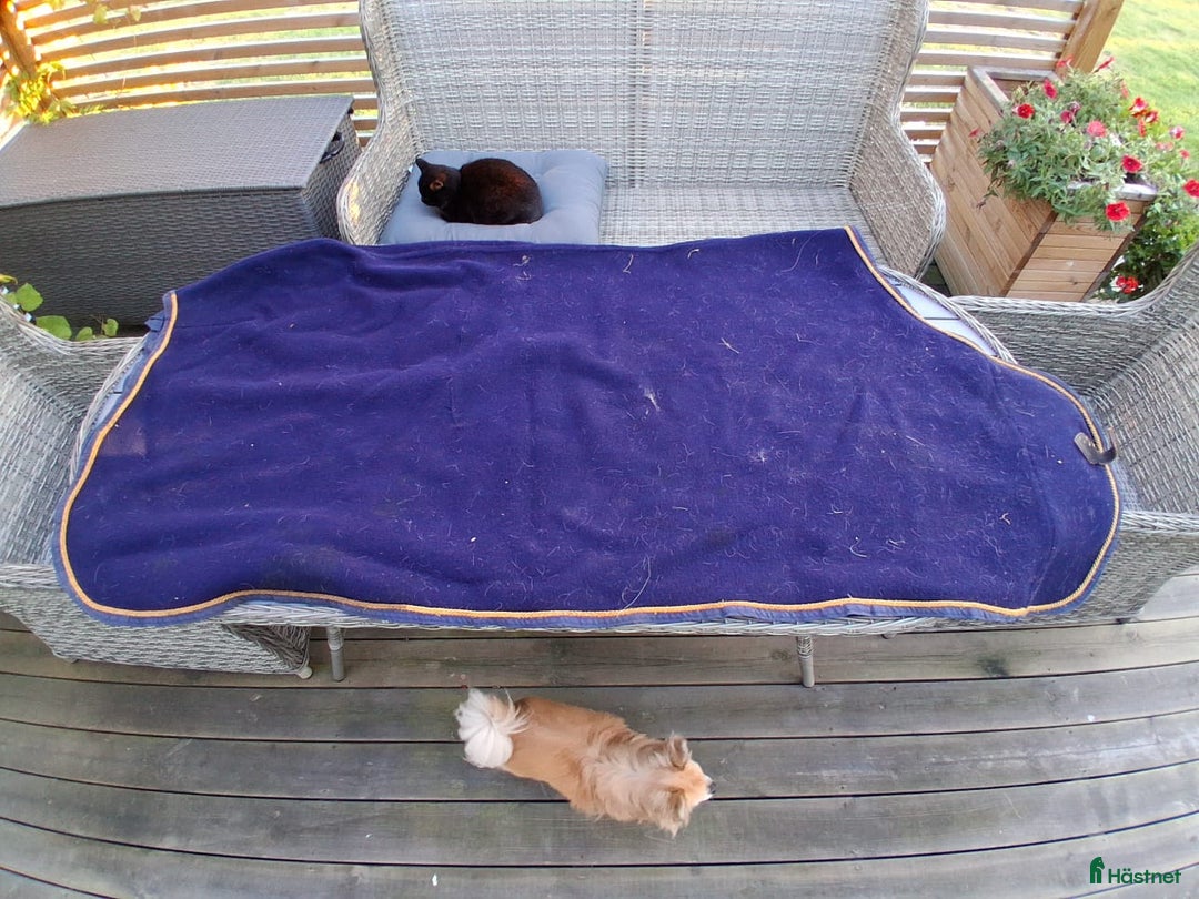 Täcken hästutrustning till salu: Täcken 130-135 cm i Ljungbyholm - Annons 8