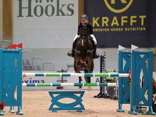 hästar Perfekt läromästare på tävlingsbanan i Uppsala - Annons 17