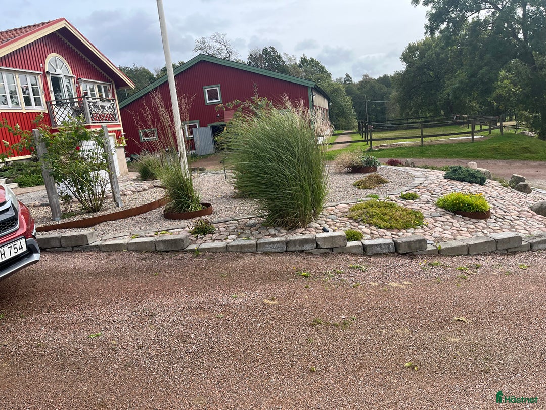  stallplats finnes: Boxplatser lediga på Halleröd Gård i Kungälv - Annons 10