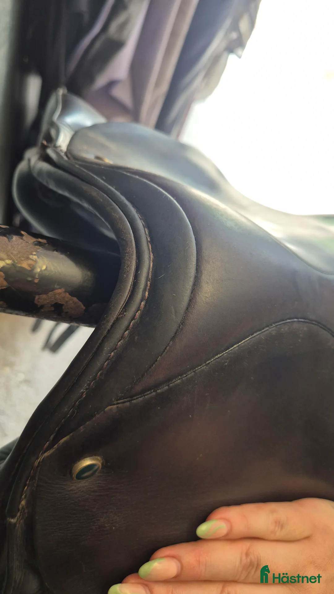 Sadlar hästutrustning till salu: Väl omhändertagen Stubben Tristan i Kungsör - Annons 9